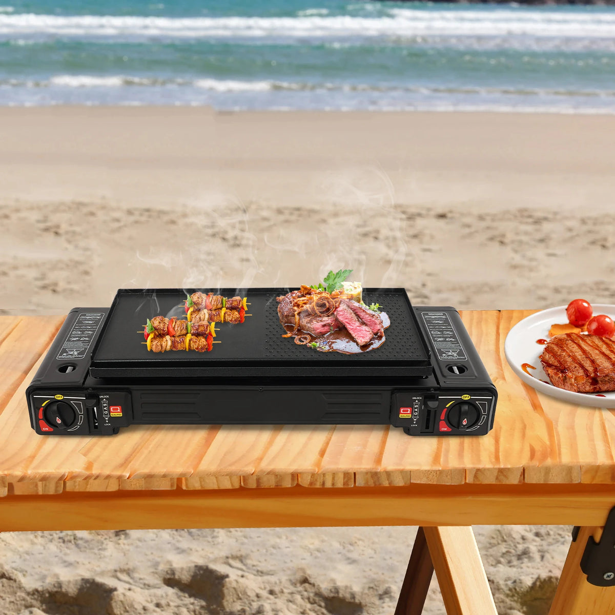 Portable Two Burner Gas Stove With Baking Tray And Case